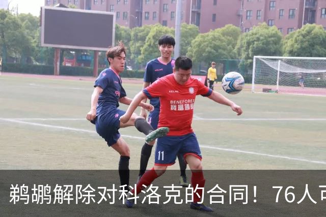 鹈鹕解除对科洛克的合同！76人可能会关注这位中锋